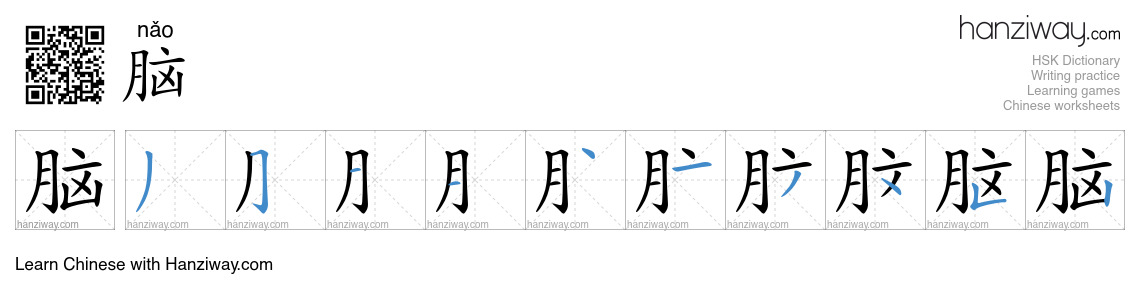 Character 脑 stroke orders
