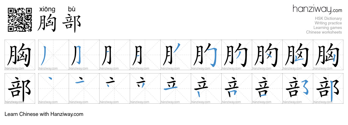 胸部 (xiōng bù) - English translation, writing, stroke order, audio ...