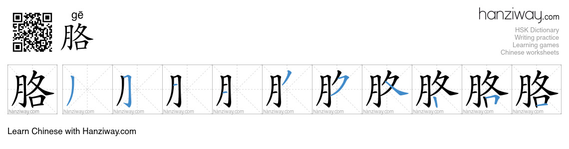Character 胳 stroke orders