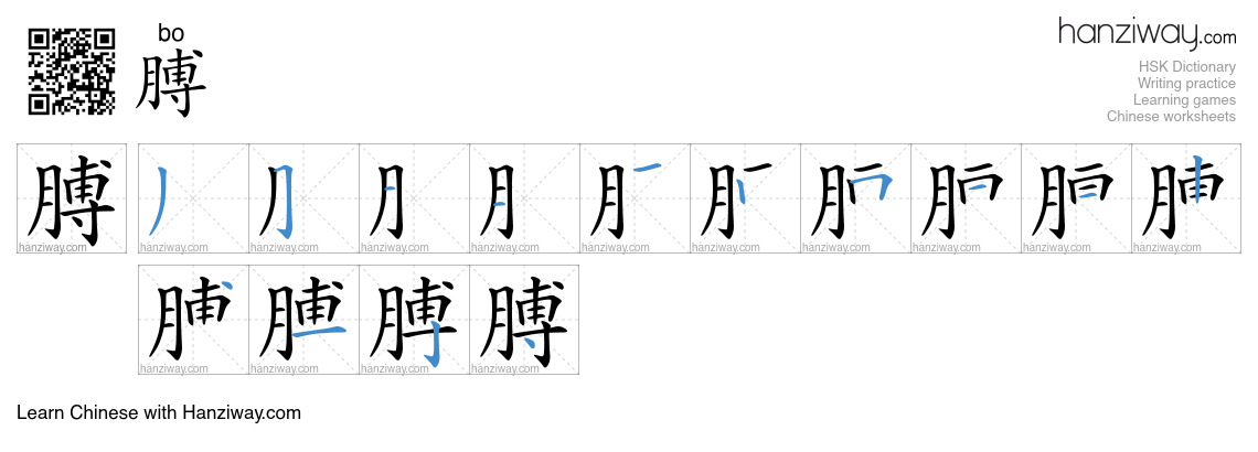 Character 膊 stroke orders