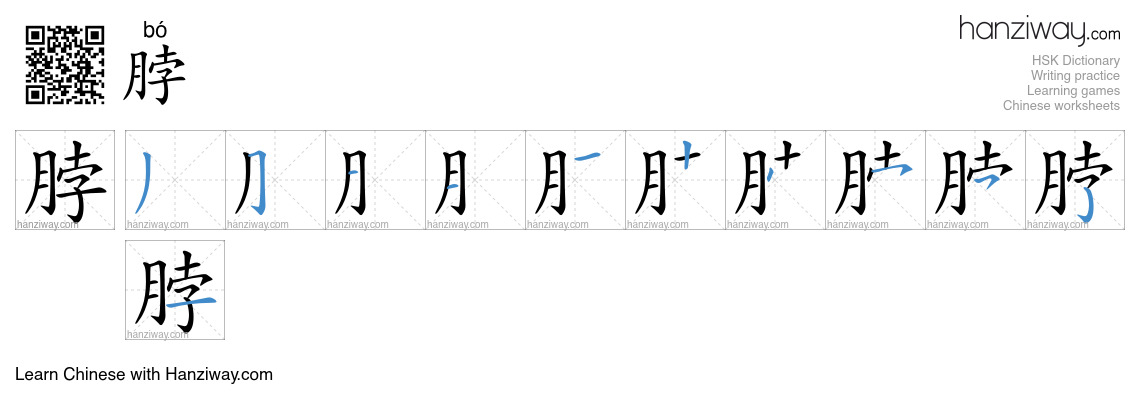 Character 脖 stroke orders