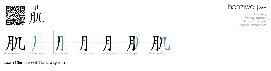 Character 肌 stroke orders