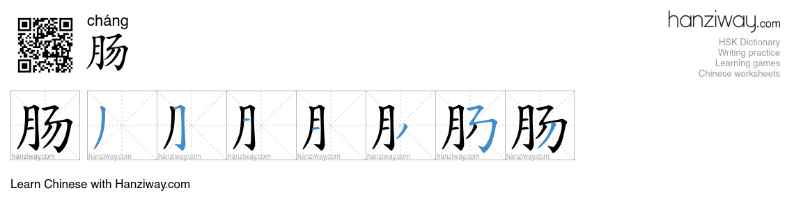 Character 肠 stroke orders