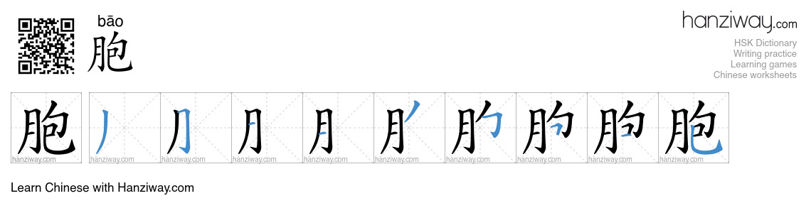 Character 胞 stroke orders