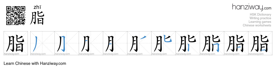 Character 脂 stroke orders
