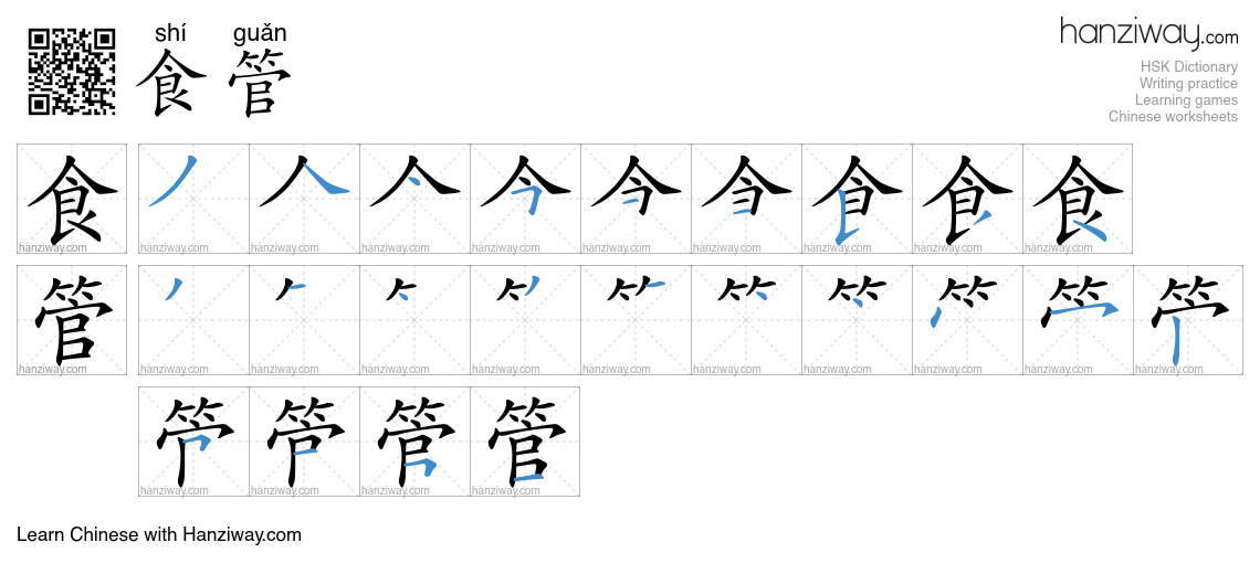 食管 (shí guǎn) - English translation, writing, stroke order, audio ...