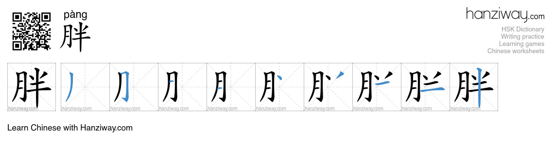 Character 胖 stroke orders