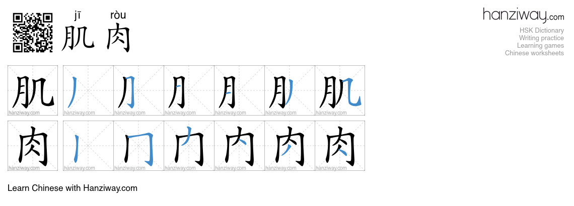 Character 肌肉 stroke orders