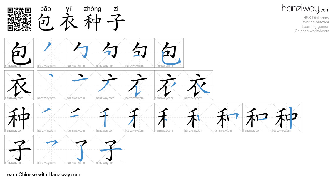 包衣种子 (bāo yī zhǒng zi) - English translation, writing, stroke order ...