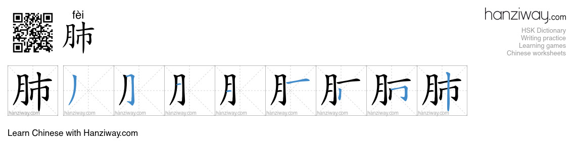 Character 肺 stroke orders