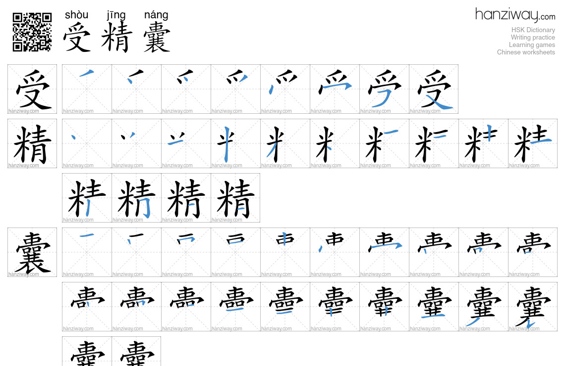 受精囊 (shòu jīng náng) - English translation, writing, stroke order ...