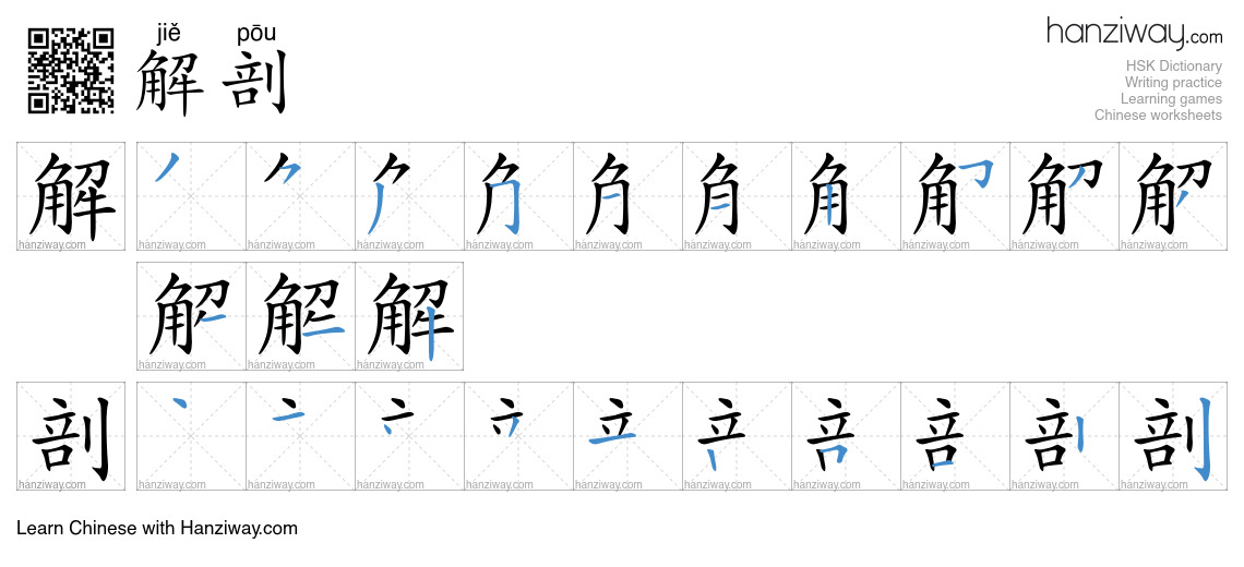 Character 解剖 stroke orders