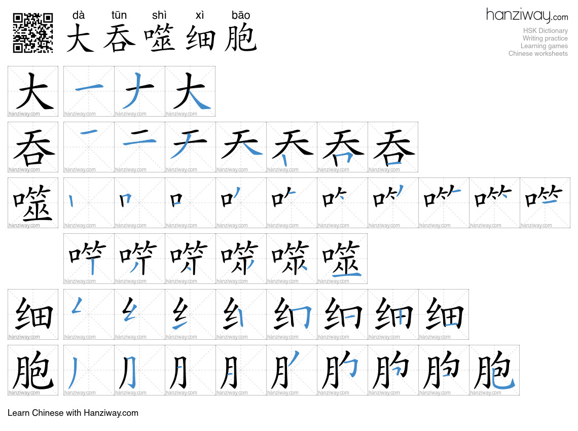 大吞噬细胞 (dà tūn shì xì bāo) - English translation, writing, stroke order ...