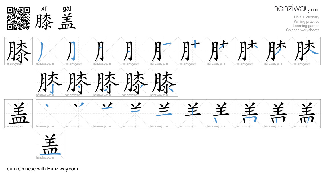 Character 膝盖 stroke orders