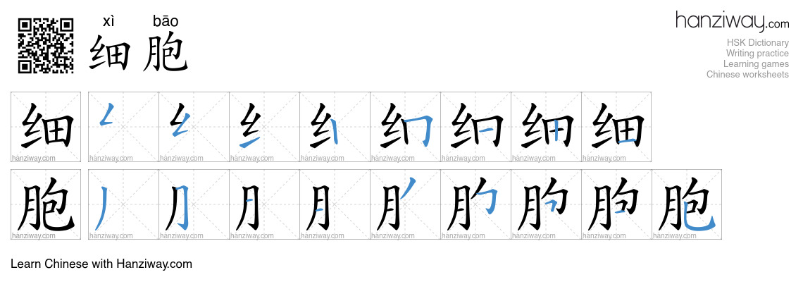 Character 细胞 stroke orders