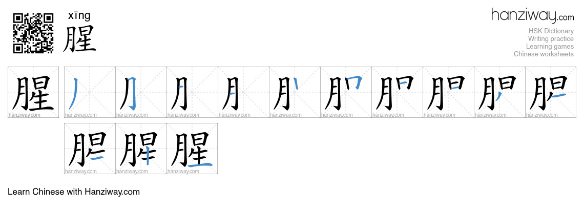 Character 腥 stroke orders