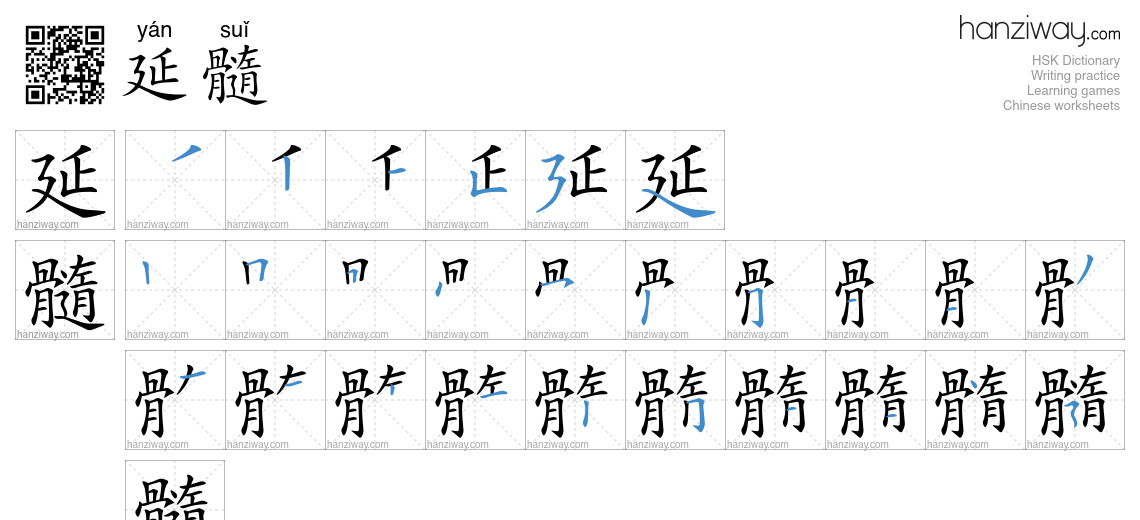 延髓 (yán suǐ) - English translation, writing, stroke order, audio | Hanziway