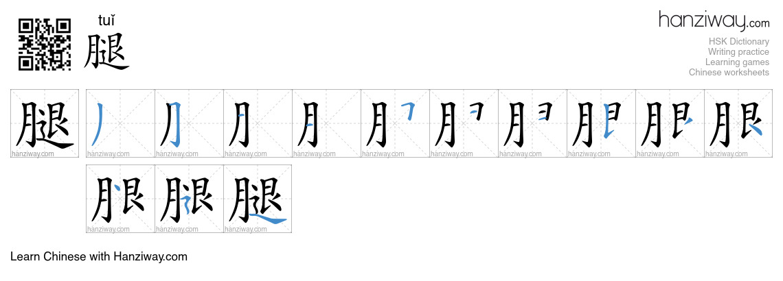 Character 腿 stroke orders