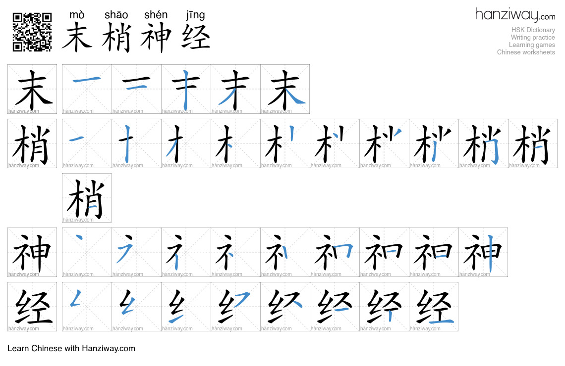末梢神经 (mò shāo shén jīng) - English translation, writing, stroke order ...