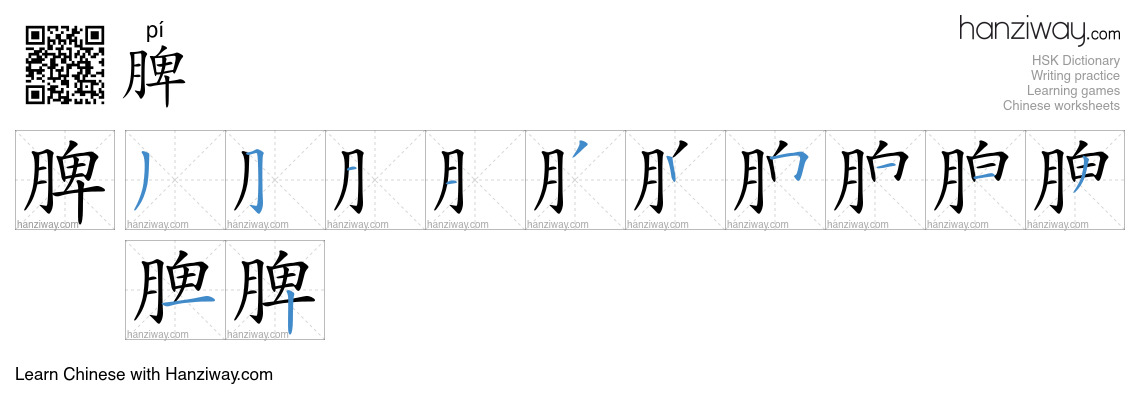Character 脾 stroke orders