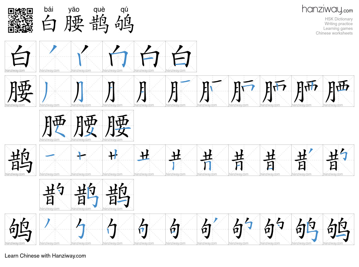 白腰鹊鸲 (bái yāo què qú) - English translation, writing, stroke order ...