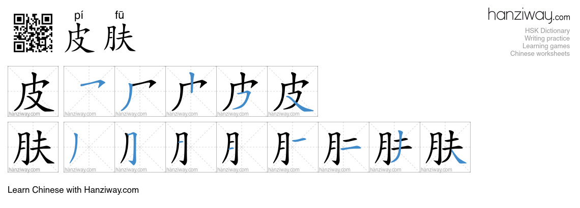 Character 皮肤 stroke orders